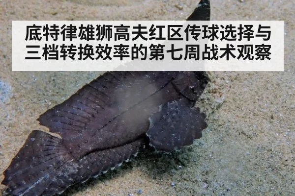 底特律雄狮高夫红区传球选择与三档转换效率的第七周战术观察
